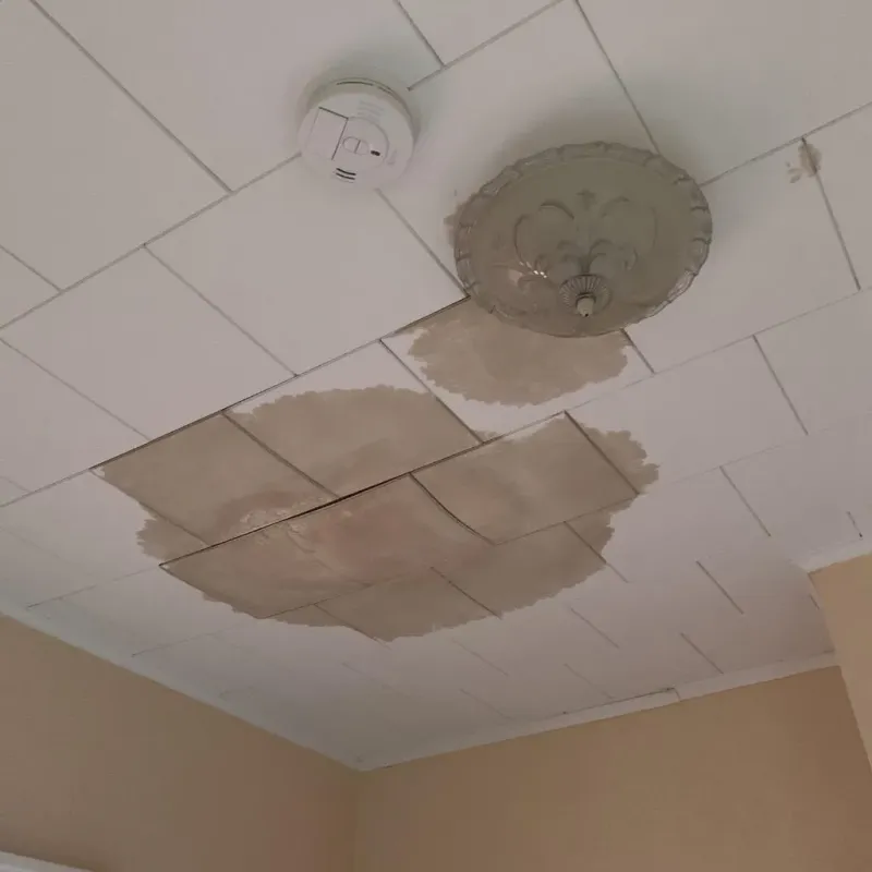 Ceiling Water Damage Repair in Glenville, CT