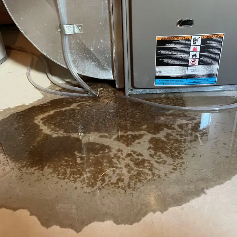 Pipe Burst and Leak Restoration in Glenville, CT