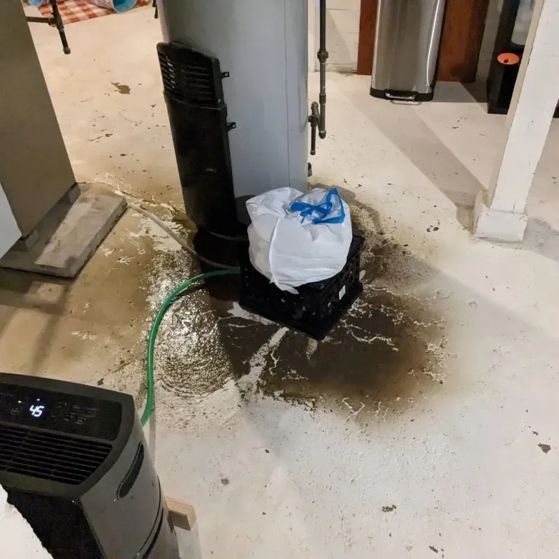 Sewage Backup Cleanup Service in Glenville, CT